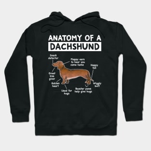 Funny Anatomy Dachshund Wiener Dog Cute Doxie Lover Hoodie